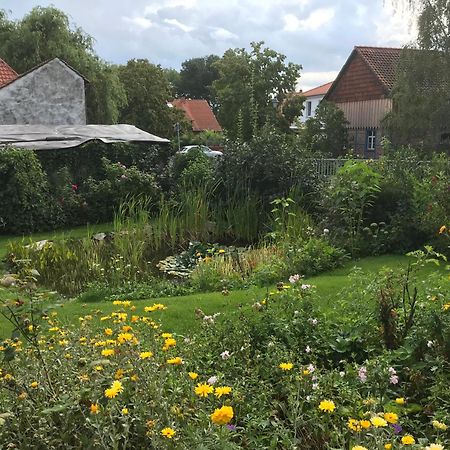 Schoene Gemuetliche Ferienwohnung Mit Kamin I Im Harz Darlingerode 외부 사진