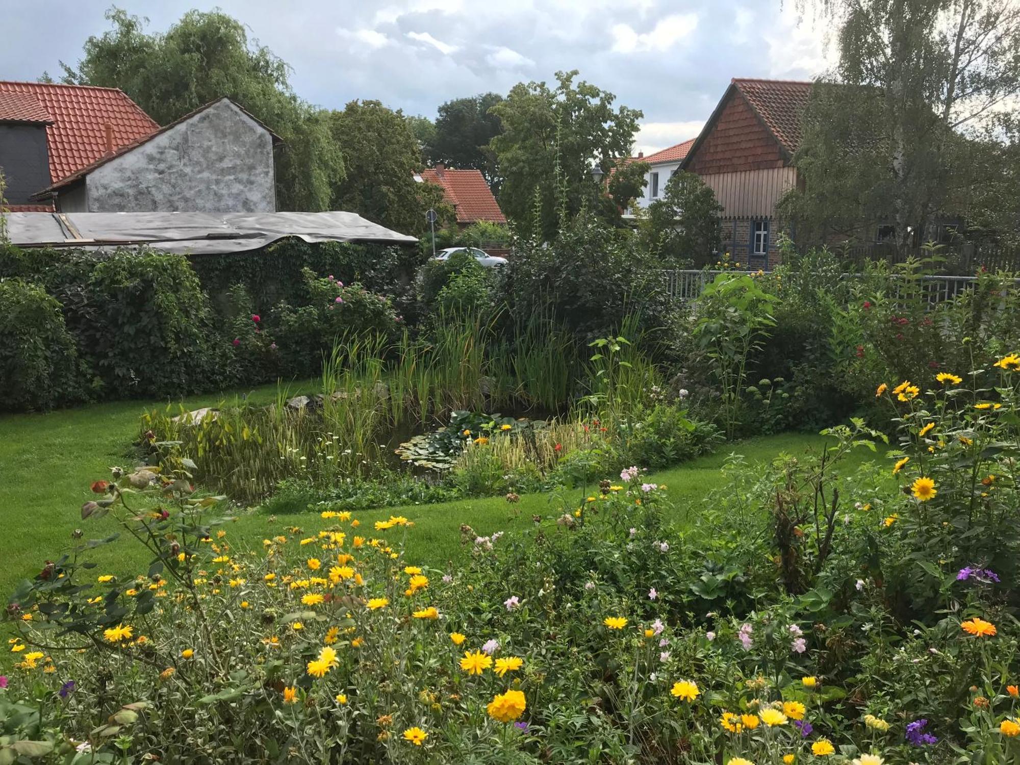 Schoene Gemuetliche Ferienwohnung Mit Kamin I Im Harz Darlingerode 외부 사진